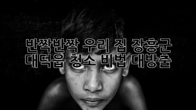 ✨ 반짝반짝 우리 집! 장흥군 대덕읍 청소 비법 대방출 🧹
