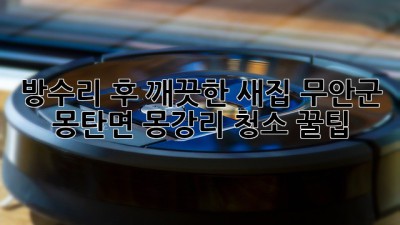 방수리 후 깨끗한 새집! 무안군 몽탄면 몽강리 청소 꿀팁